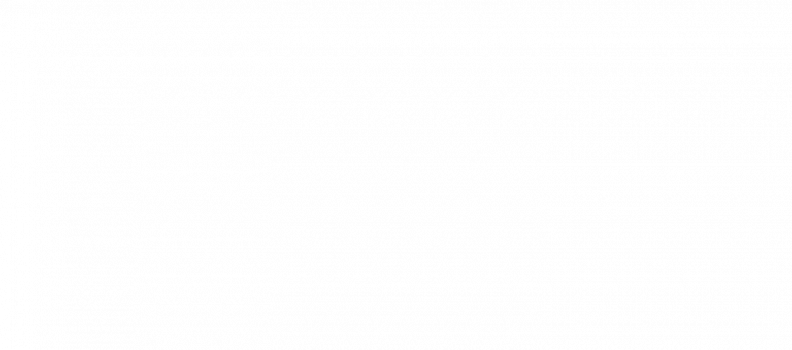 Bär fach
